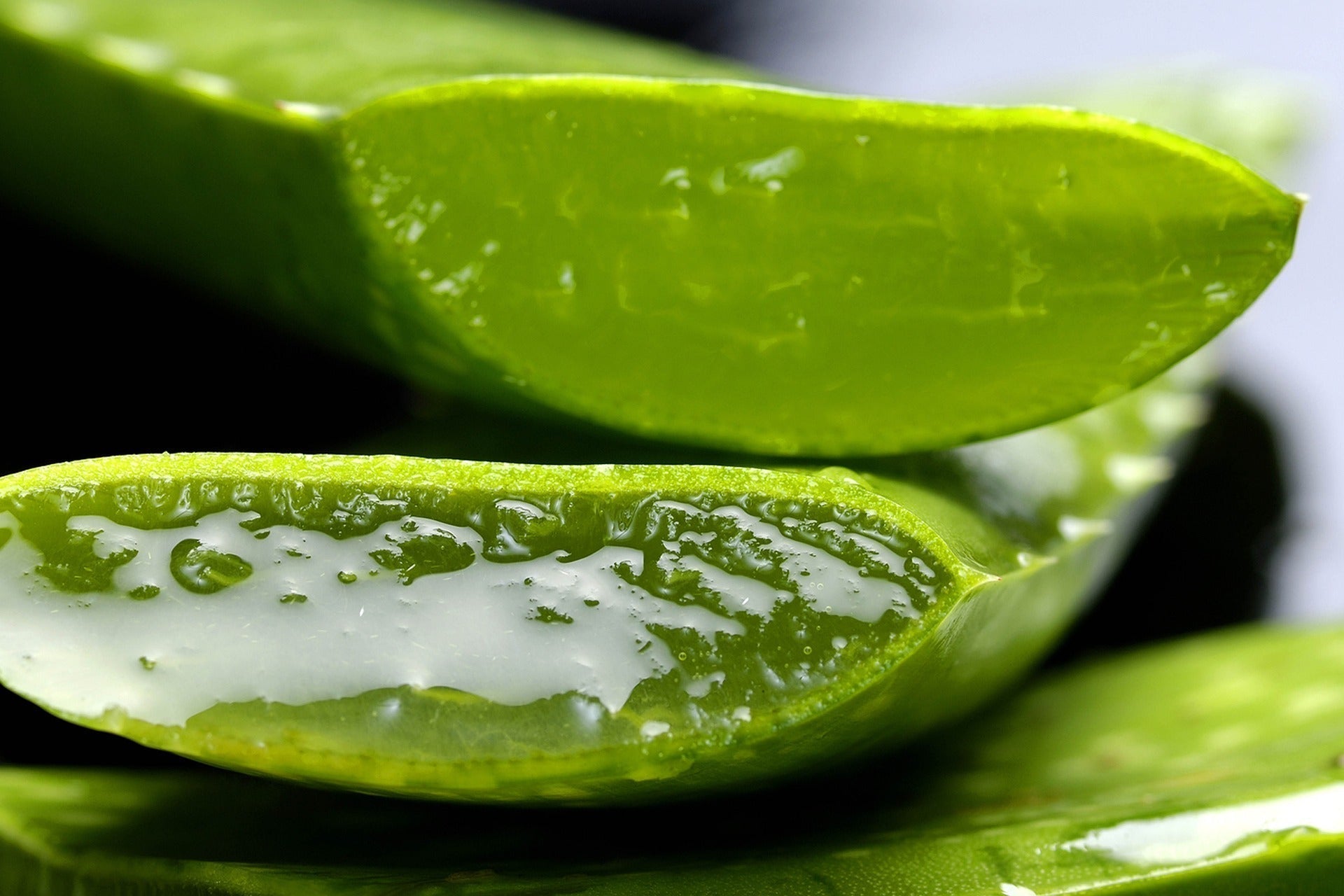 Come Usare l'Aloe Vera per le Scottature Solari