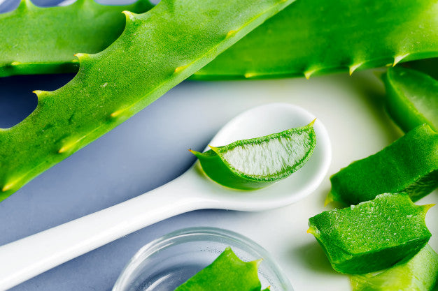 Aloe Vera per la cura dei capelli: come ottenere capelli sani e lucenti