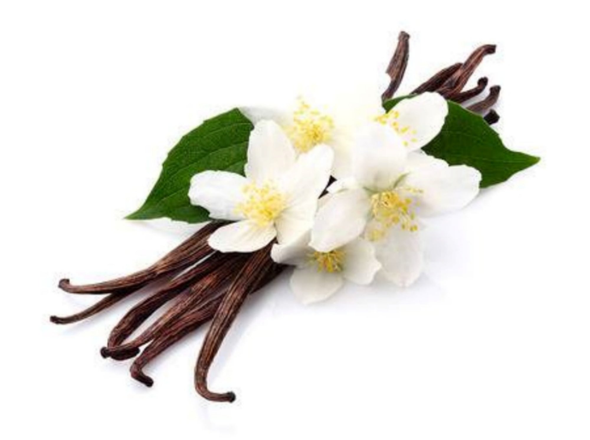 Crema Ecze & Psor Jasmine Vanilla: Una Carezza di Benessere per la Pelle Sensibile