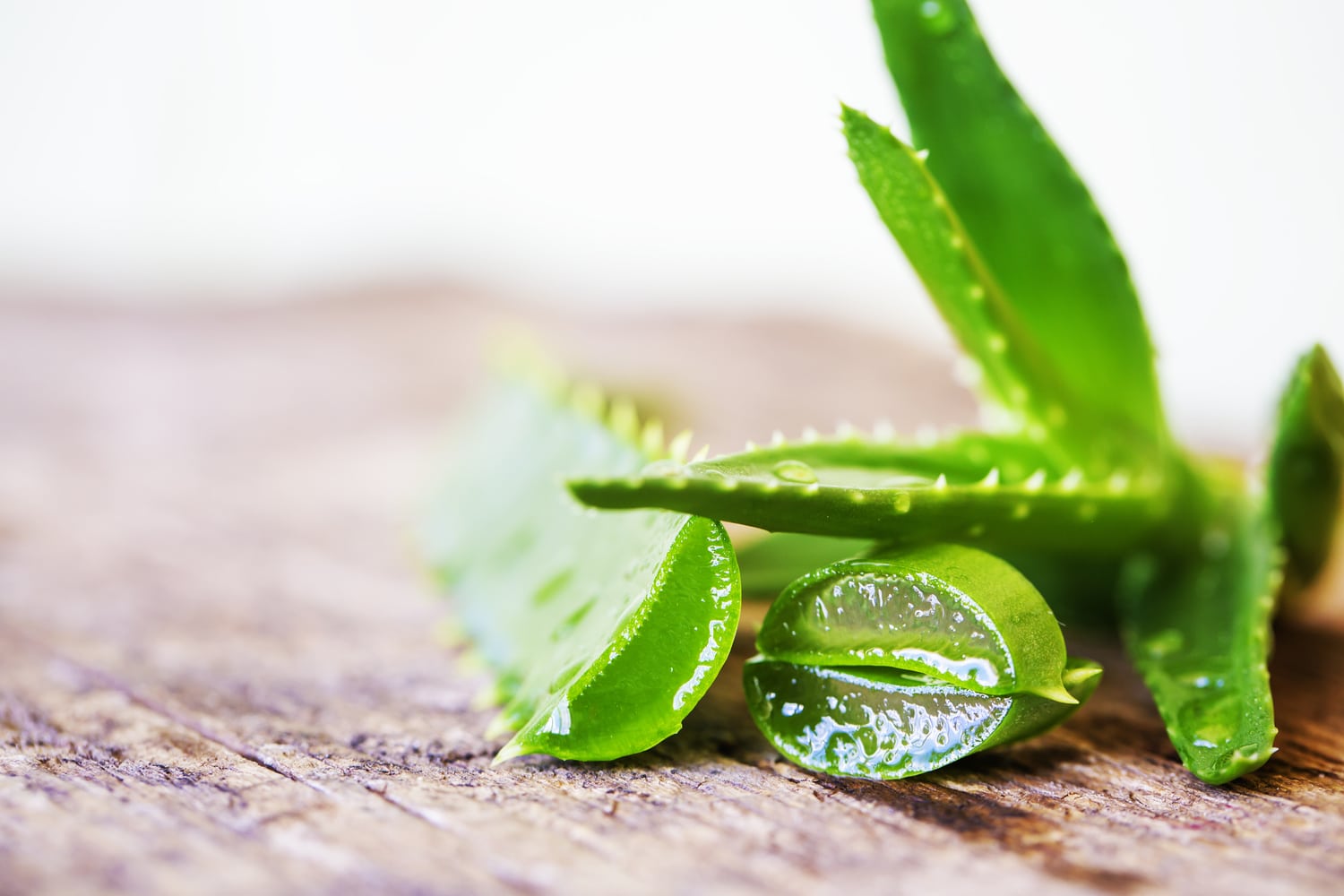 10 bonnes raisons d'utiliser l'Aloe Vera