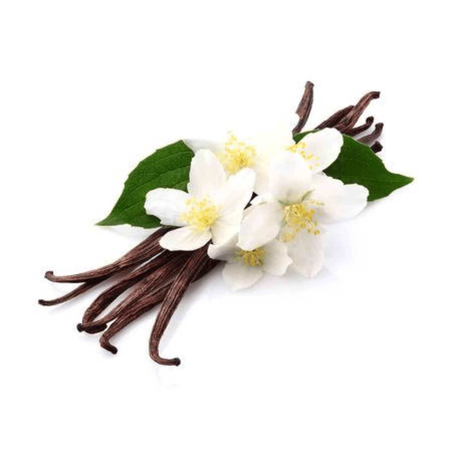 Crema Ecze & Psor Jasmine Vanilla - Natura Only