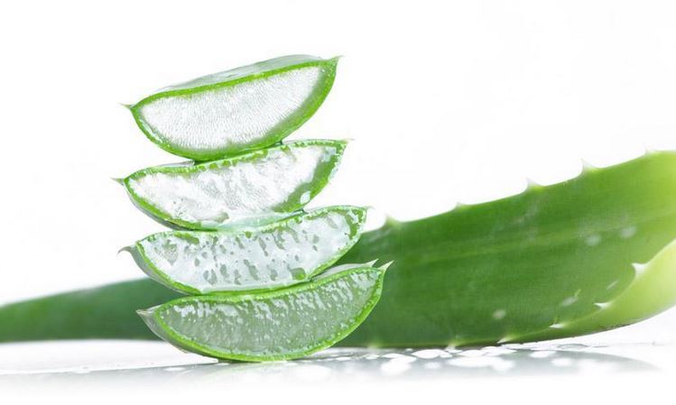 Shampoo Aloe Vera - Natura Only